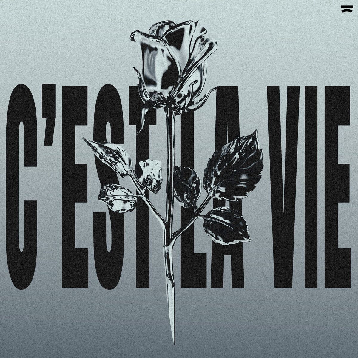 Album cover of C'est La Vie