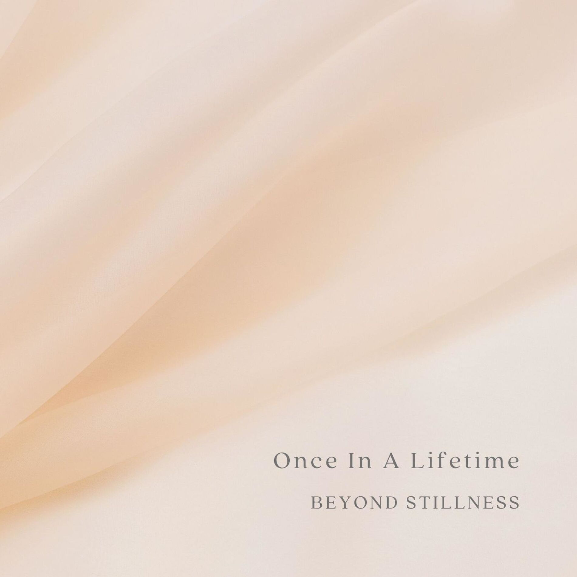 Album cover of Once In A Lifetime