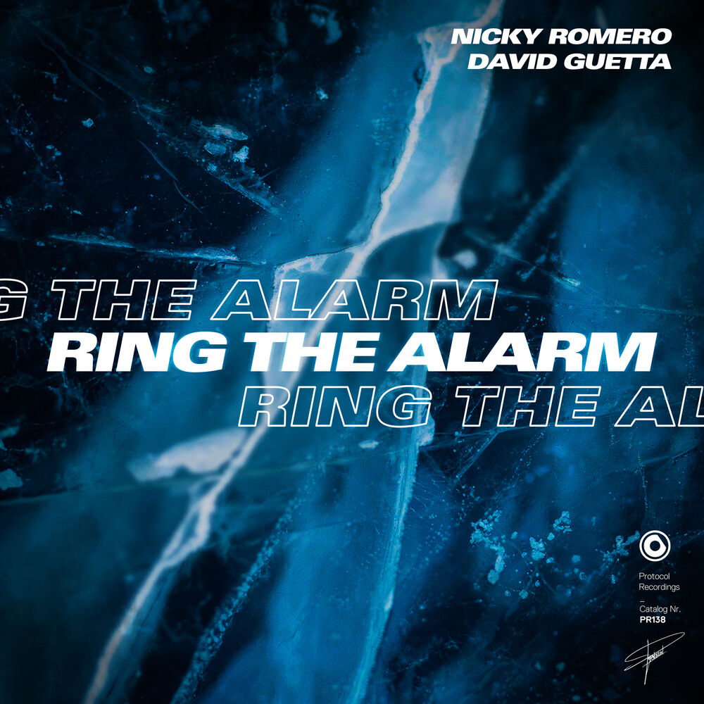 Picture of Ring The Alarm