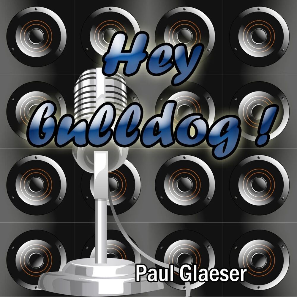 Picture of Hey Bulldog ! (Tribute to The Beatles)