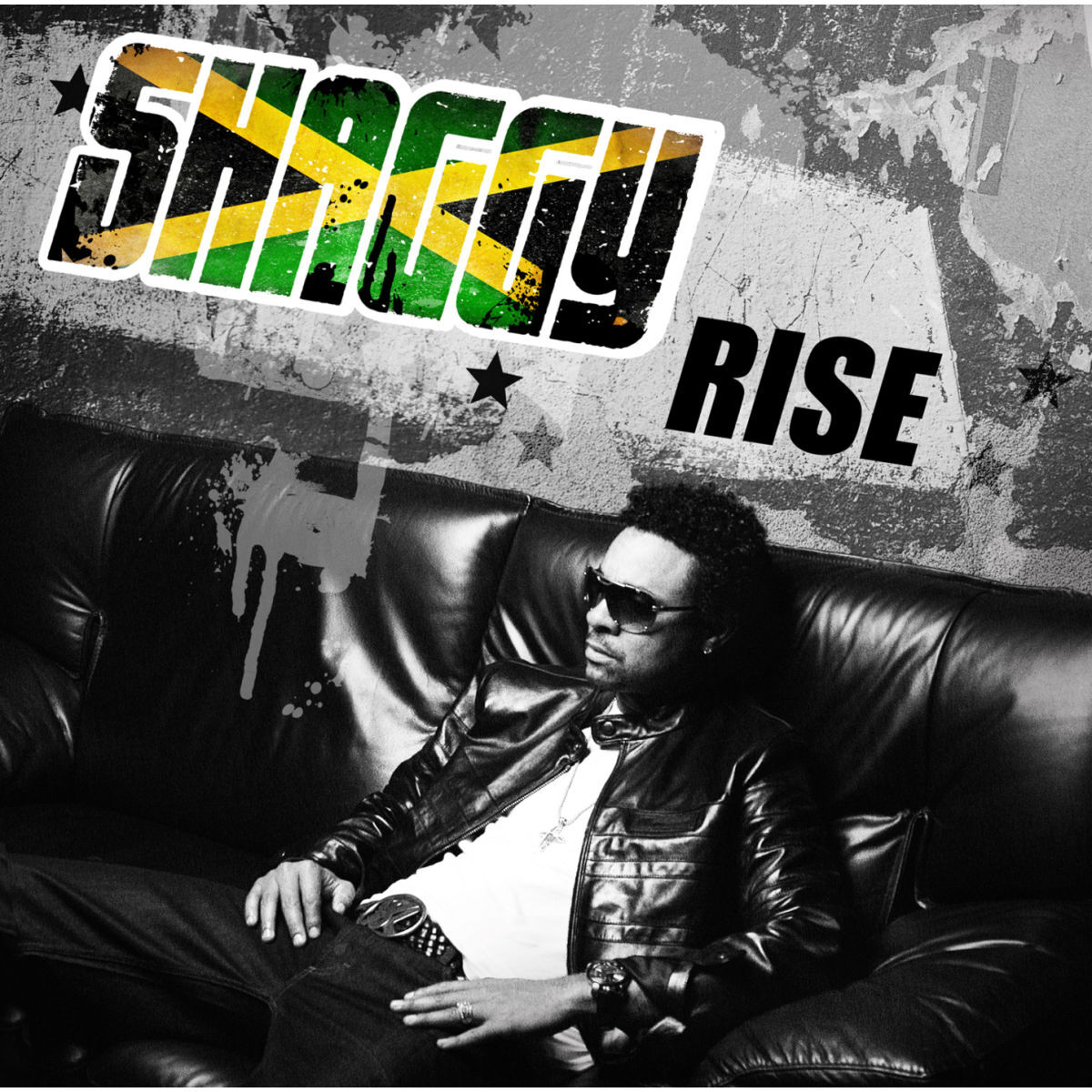 Album cover of Rise