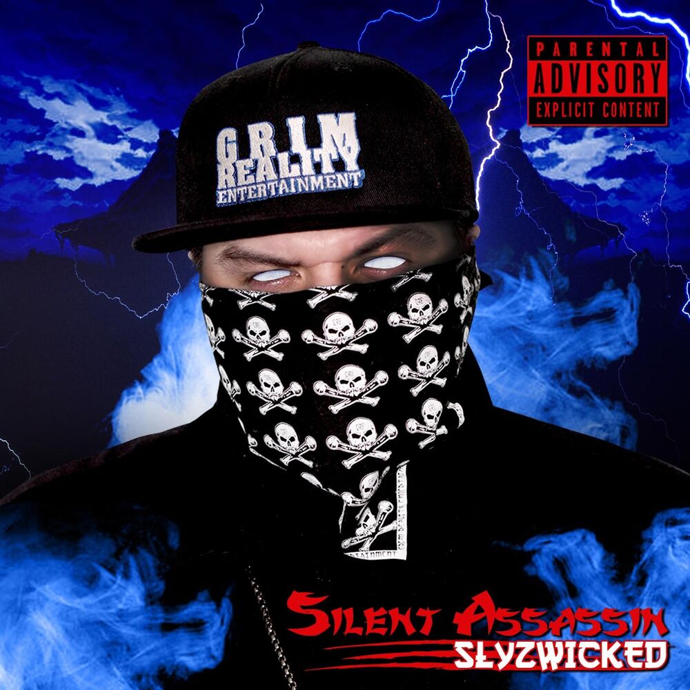 Picture of Silent Assassin