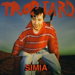 music cover