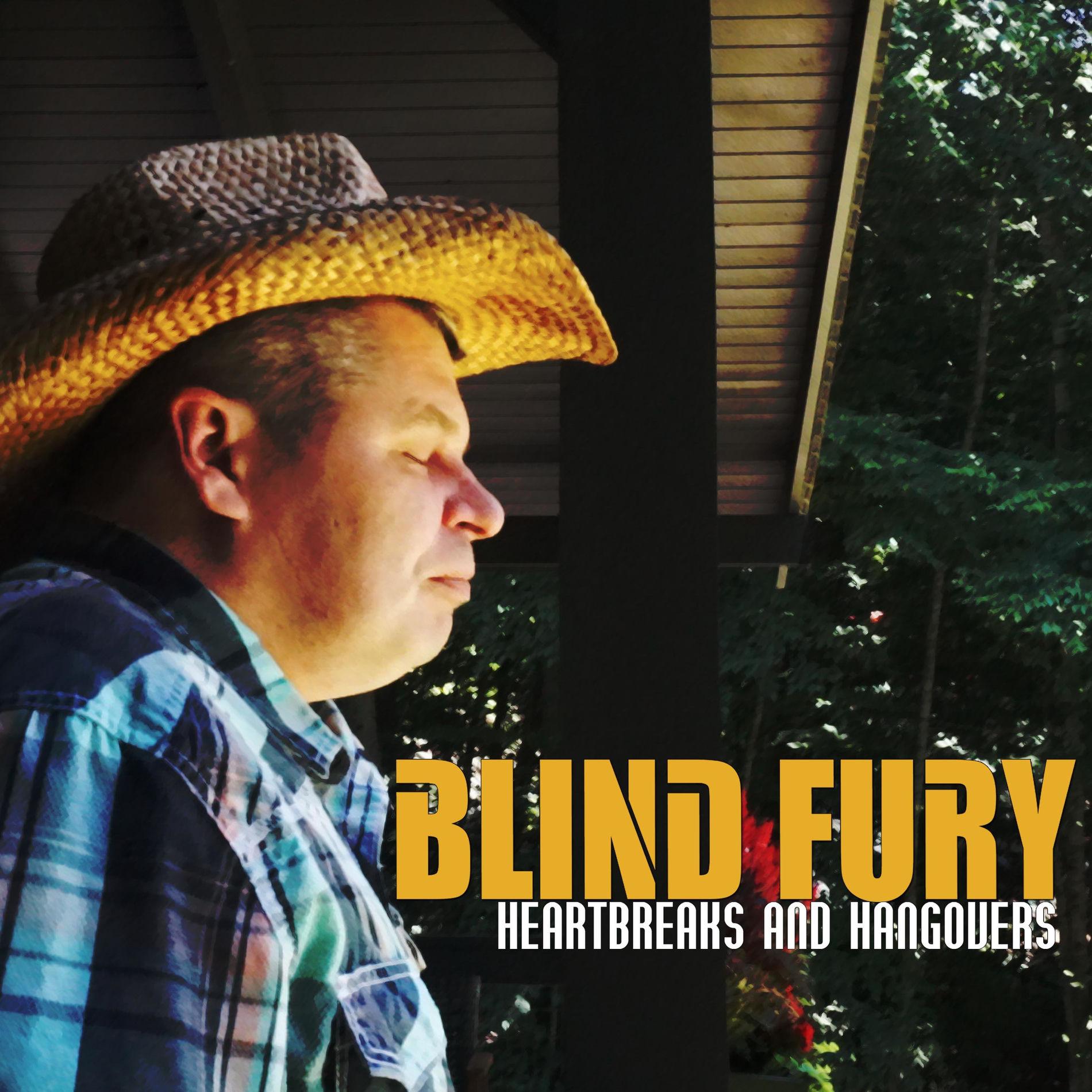 Blind Fury - Out of Reach | Deezer