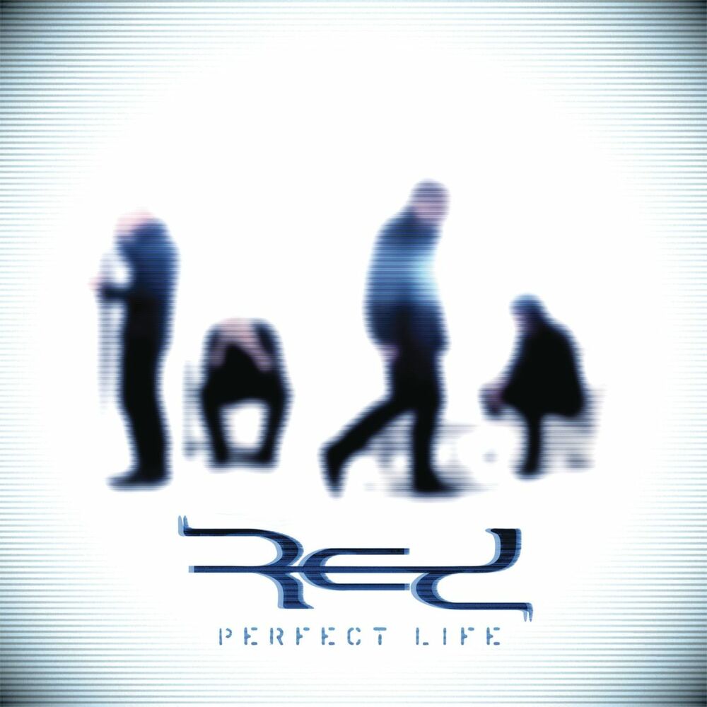Picture of Perfect Life