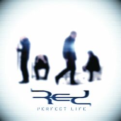 Cover of Perfect Life