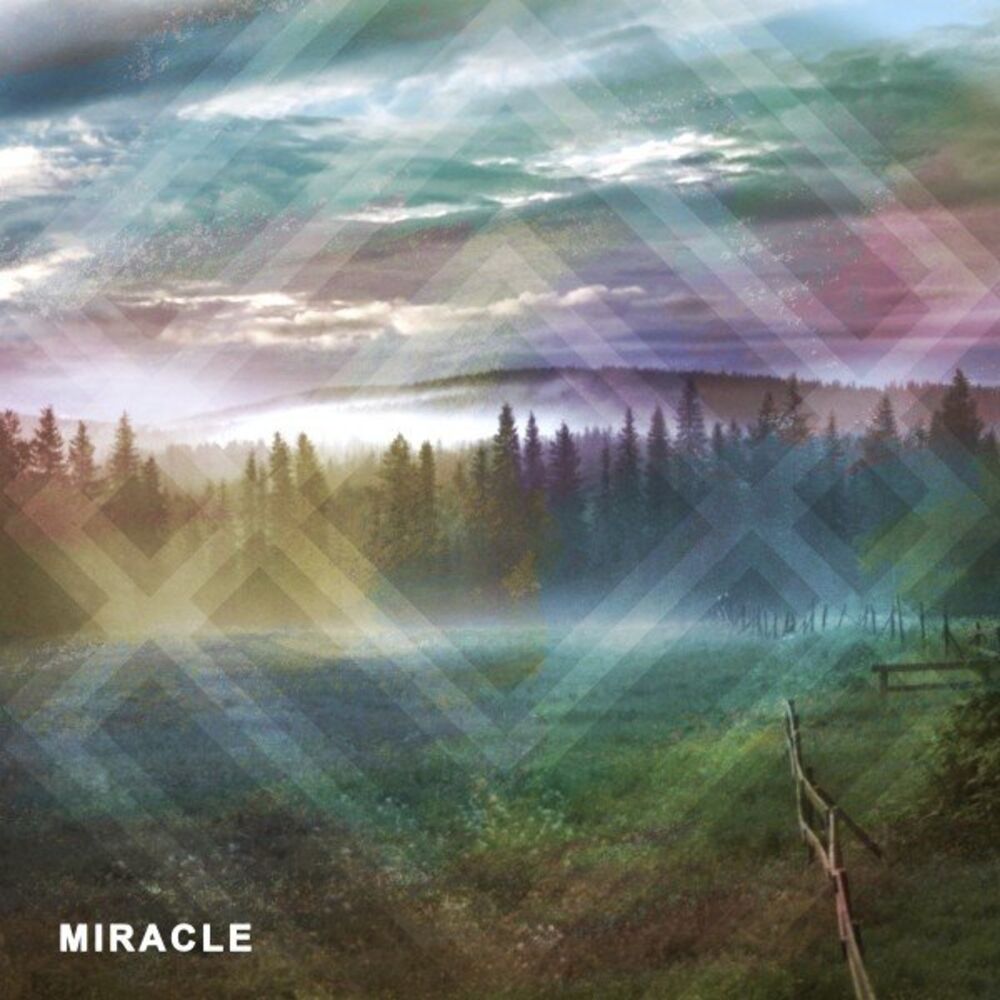 Picture of Miracle