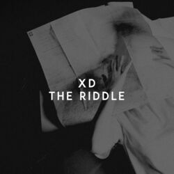 Cover of The Riddle