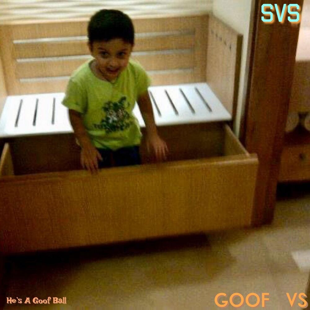 Picture of Goof Vs