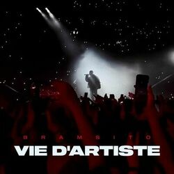 Cover of Vie d'artiste