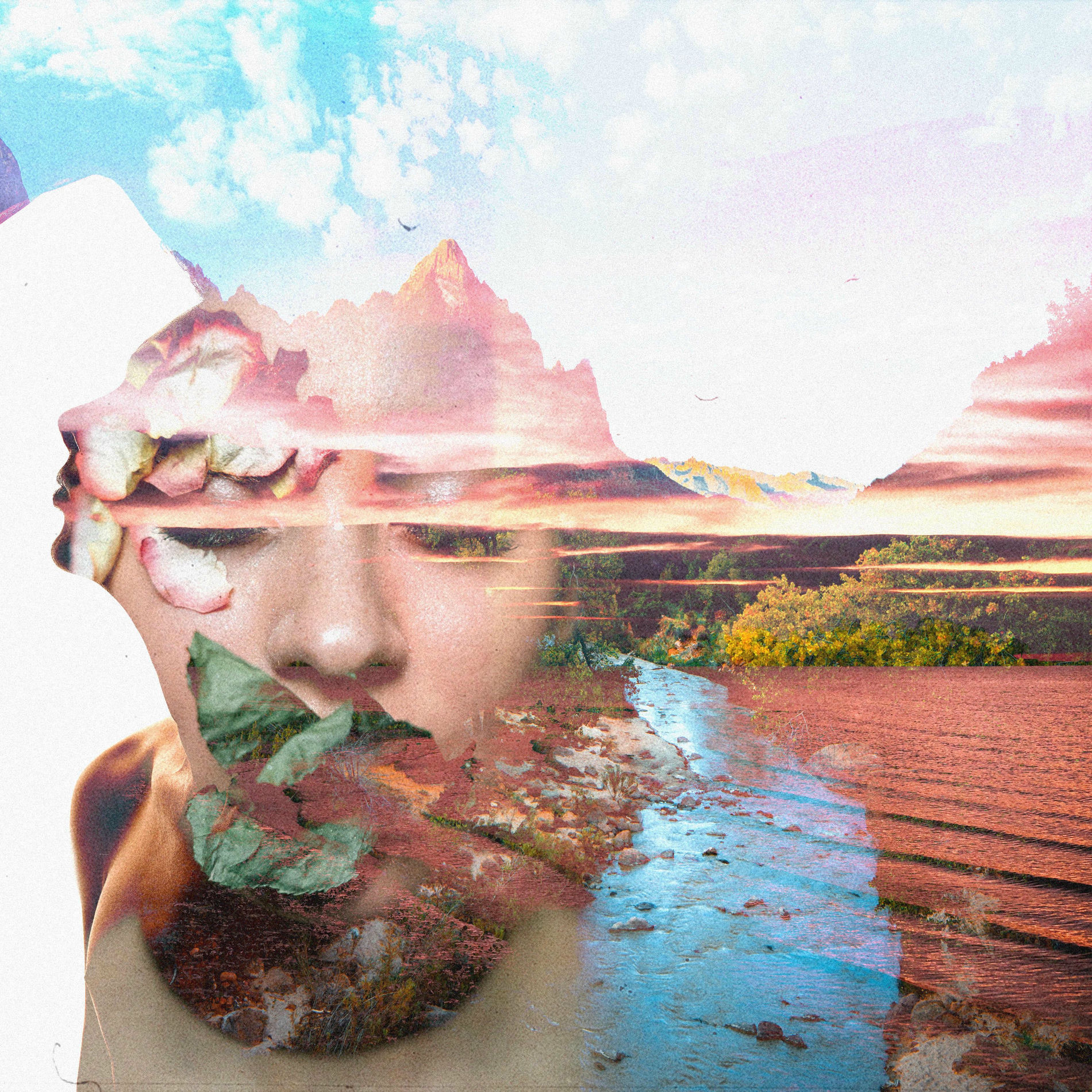 Album cover of Ambient Minds