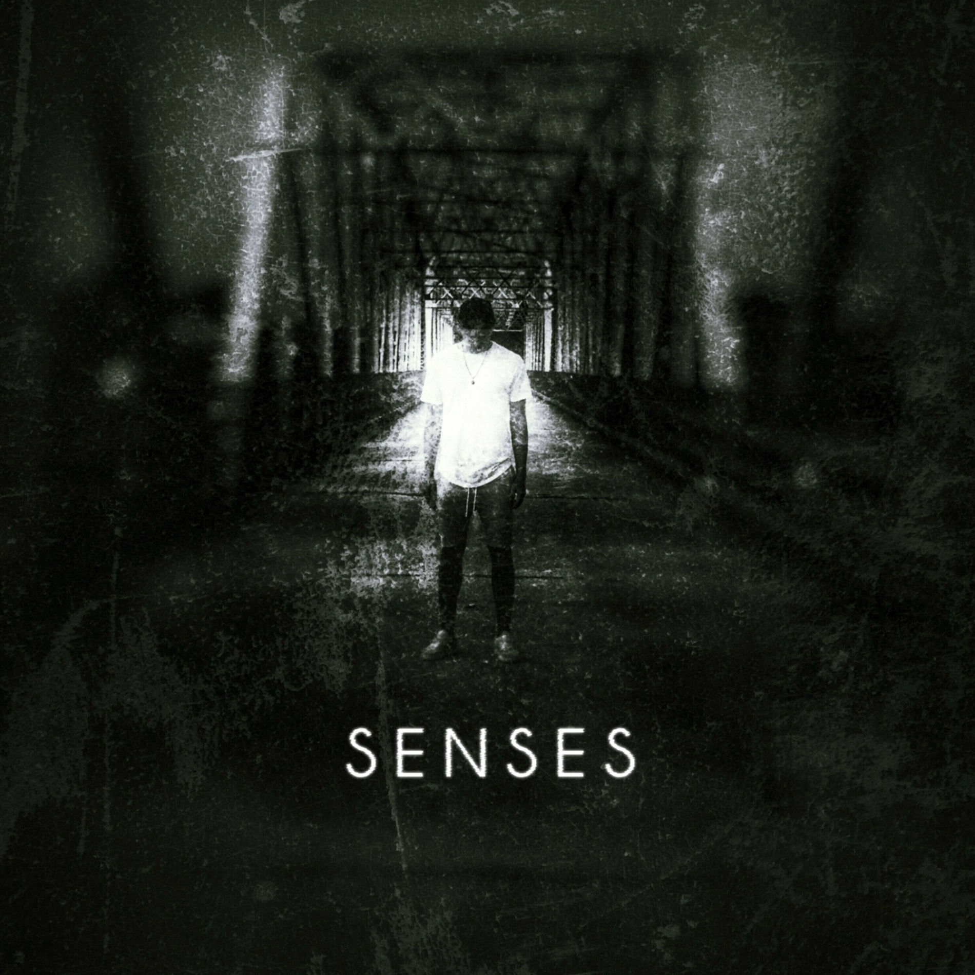 Album cover of Senses