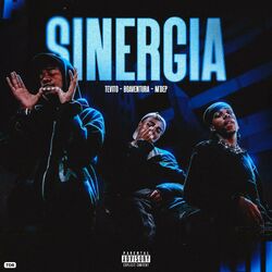 Cover of Sinergia