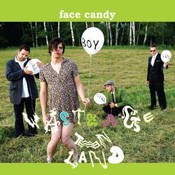 Cover of Waste Age Teen Land