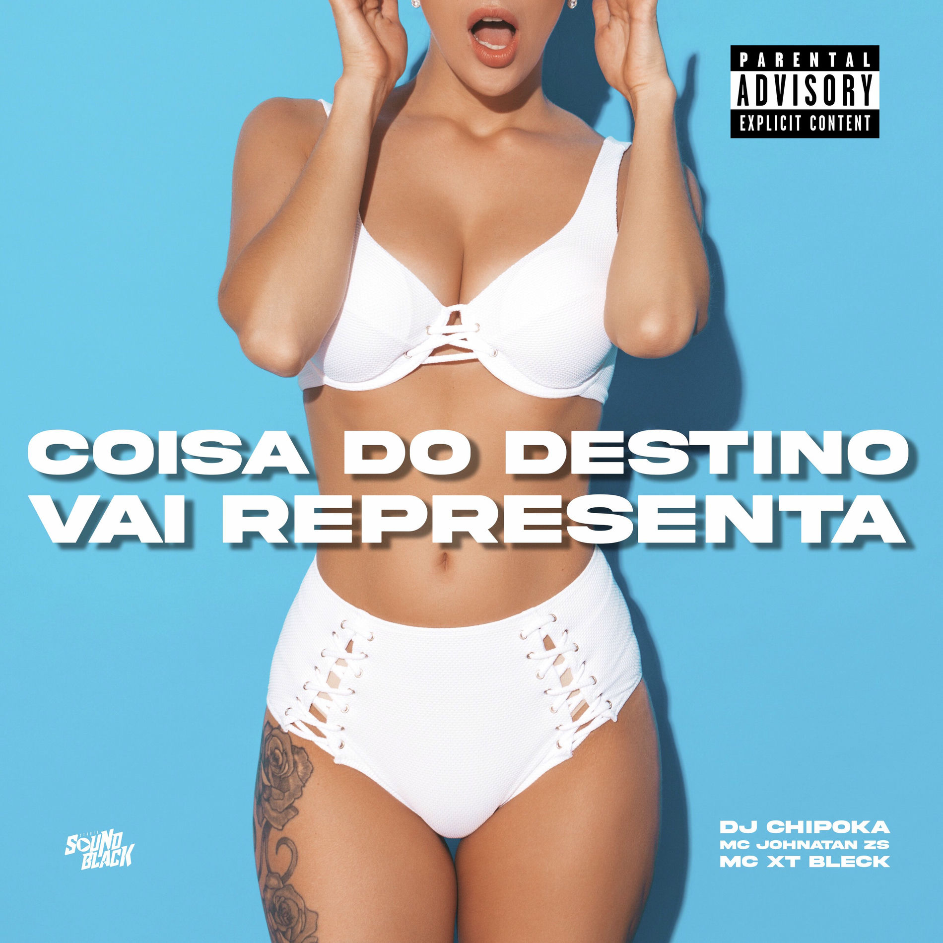 Album cover of Coisa do Destino - Vai Representa