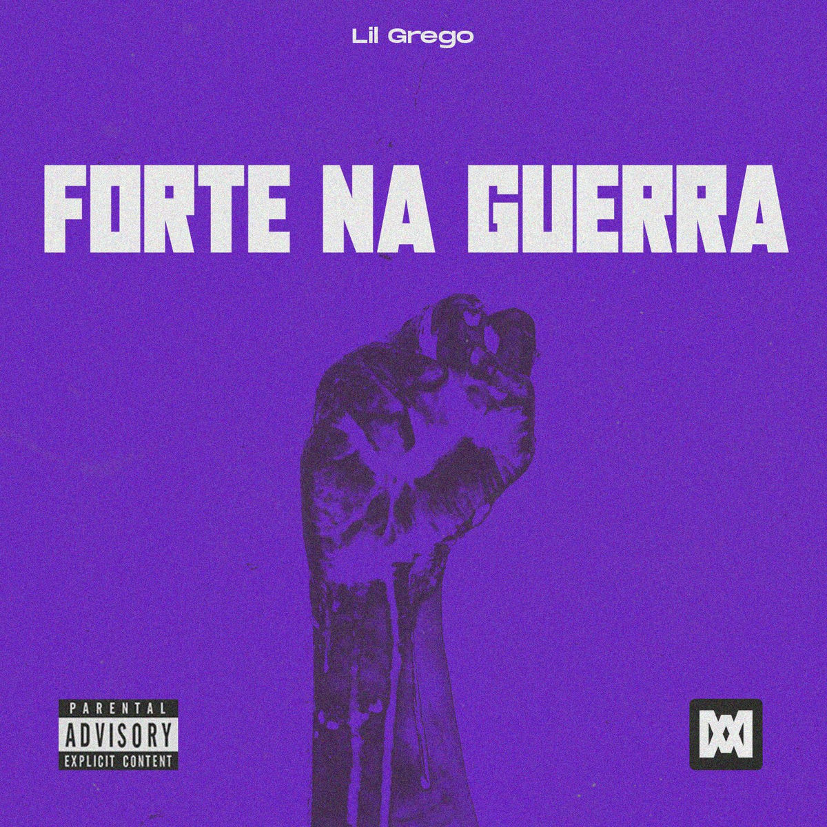 Album cover of Forte na Guerra