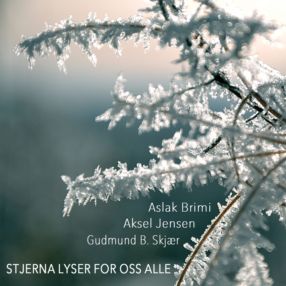 Picture of Stjerna lyser for oss alle