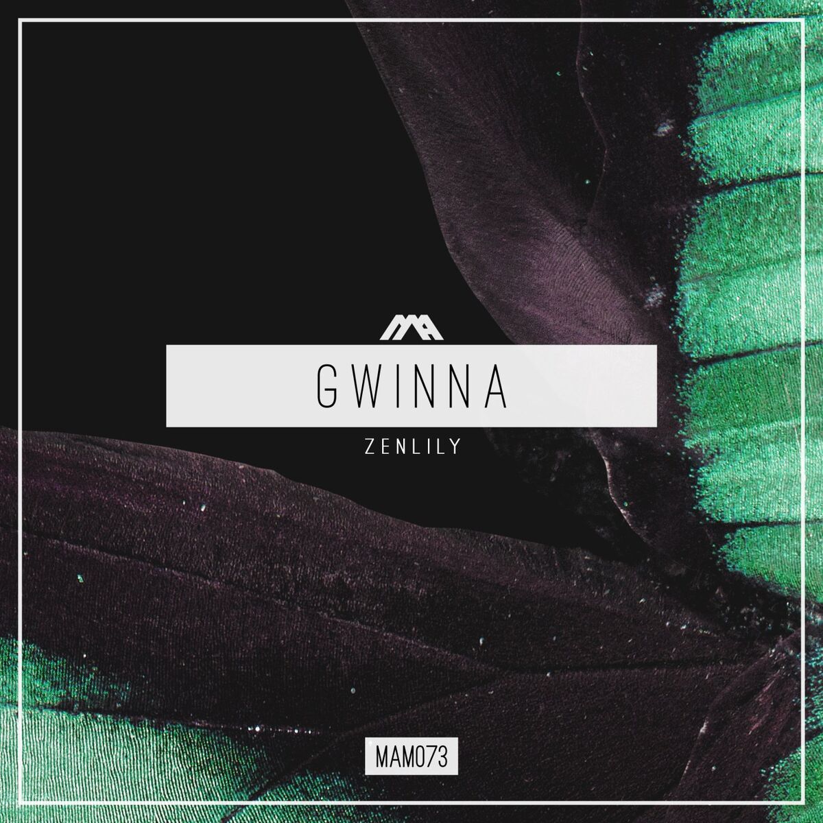 Album cover of Gwinna