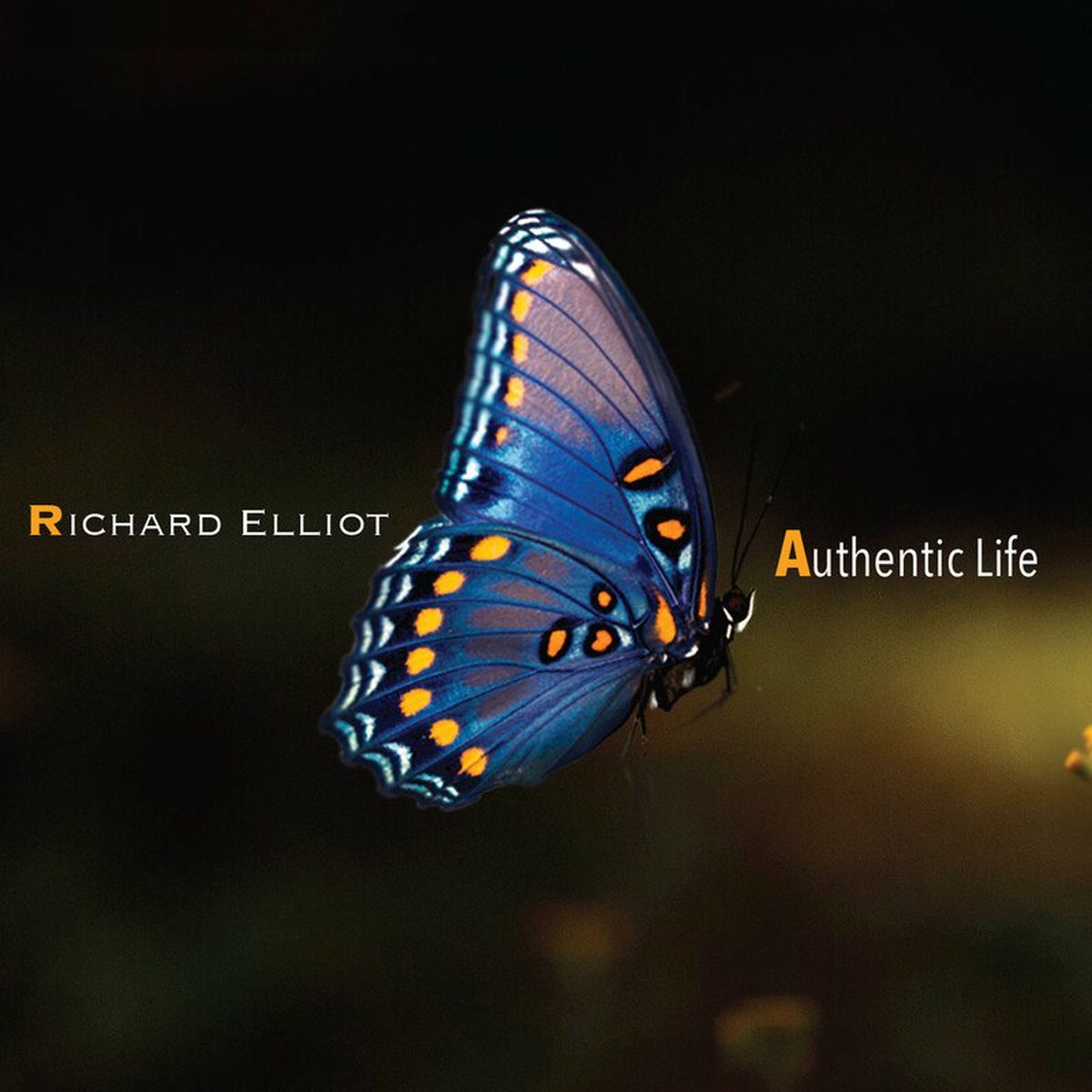 Album cover of Authentic Life