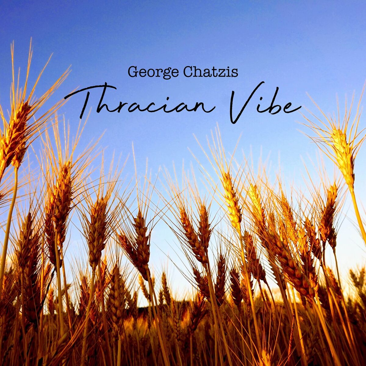 Album cover of Thracian Vibe
