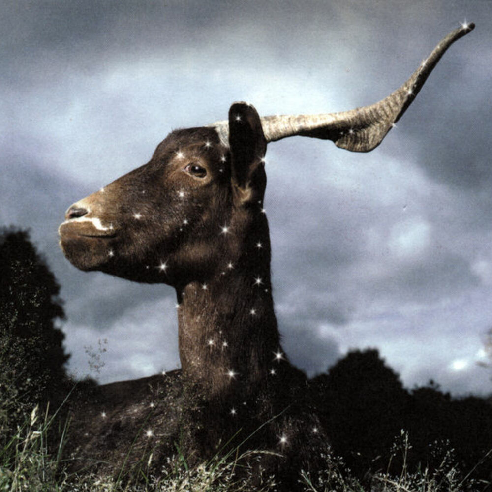 Picture of La Belle Inutile