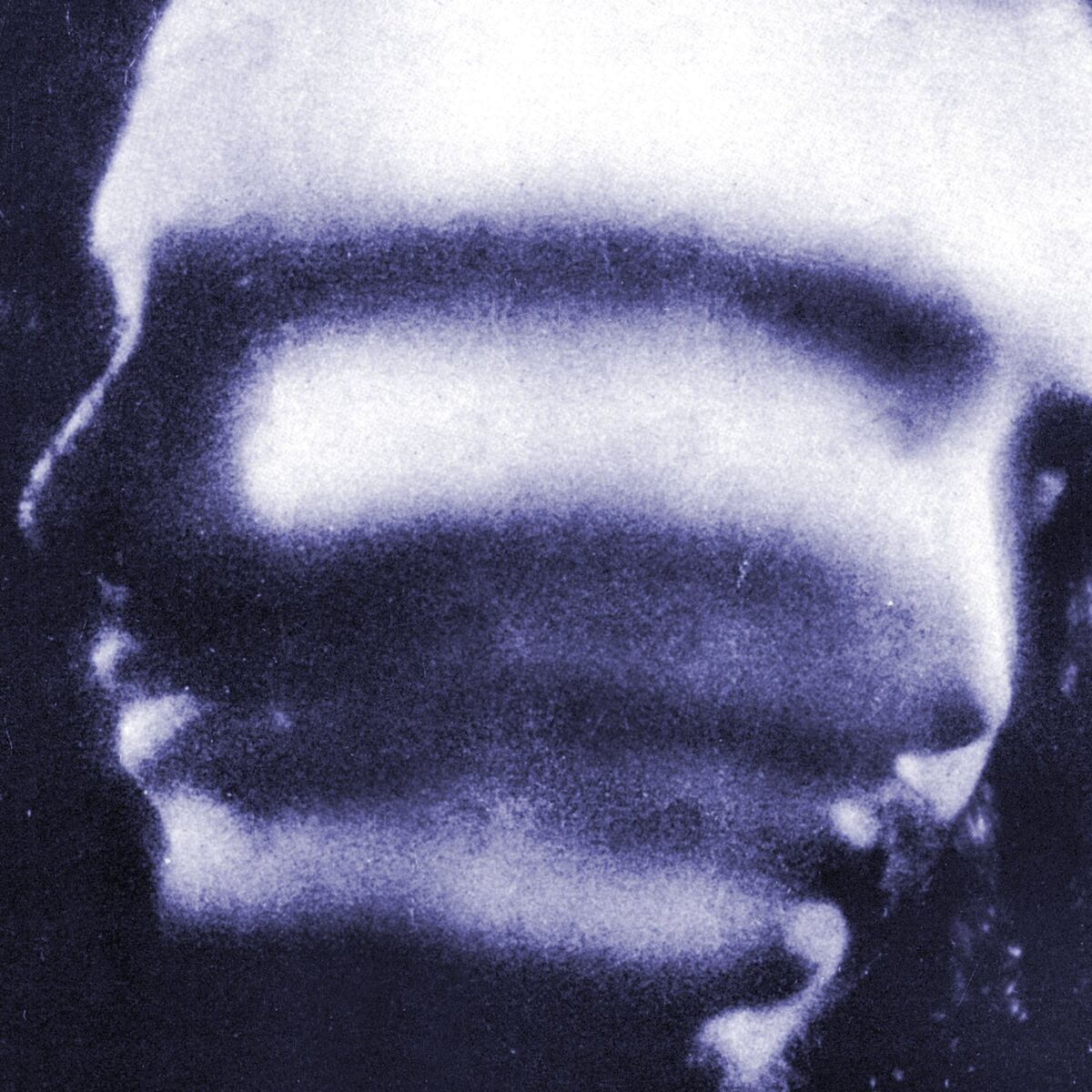 Album cover of Sal