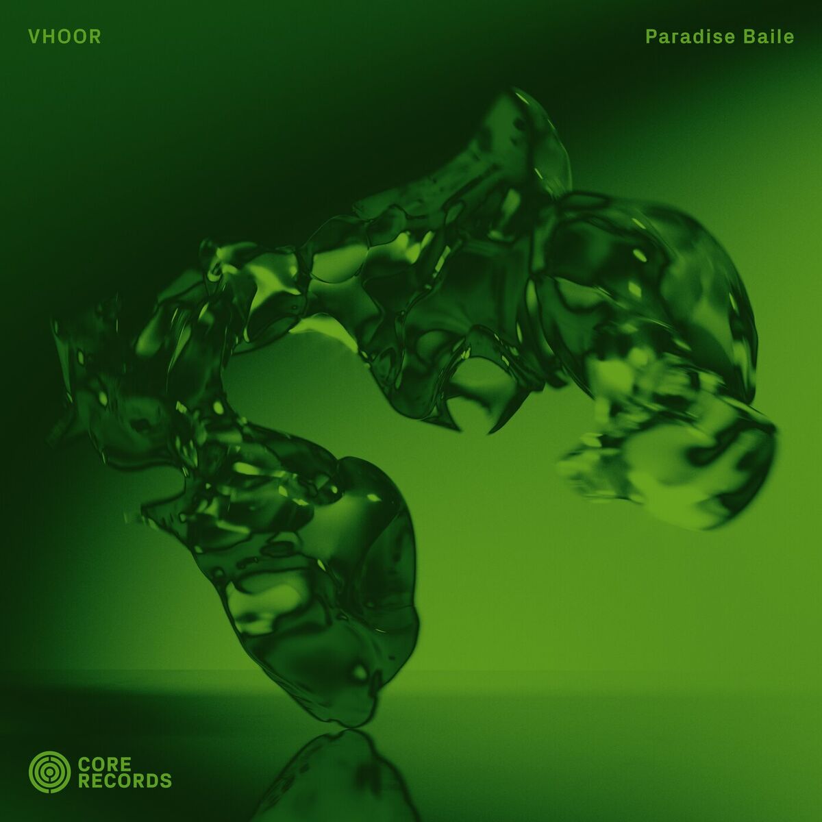 Album cover of Paradise Baile