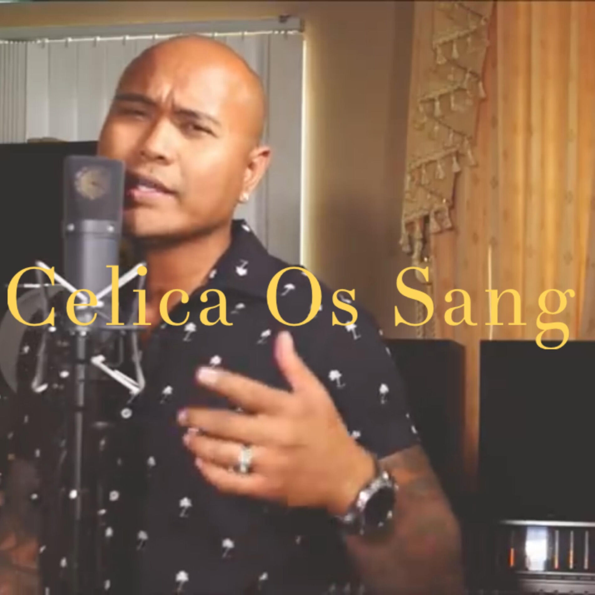 Album cover of Celica Os Sang