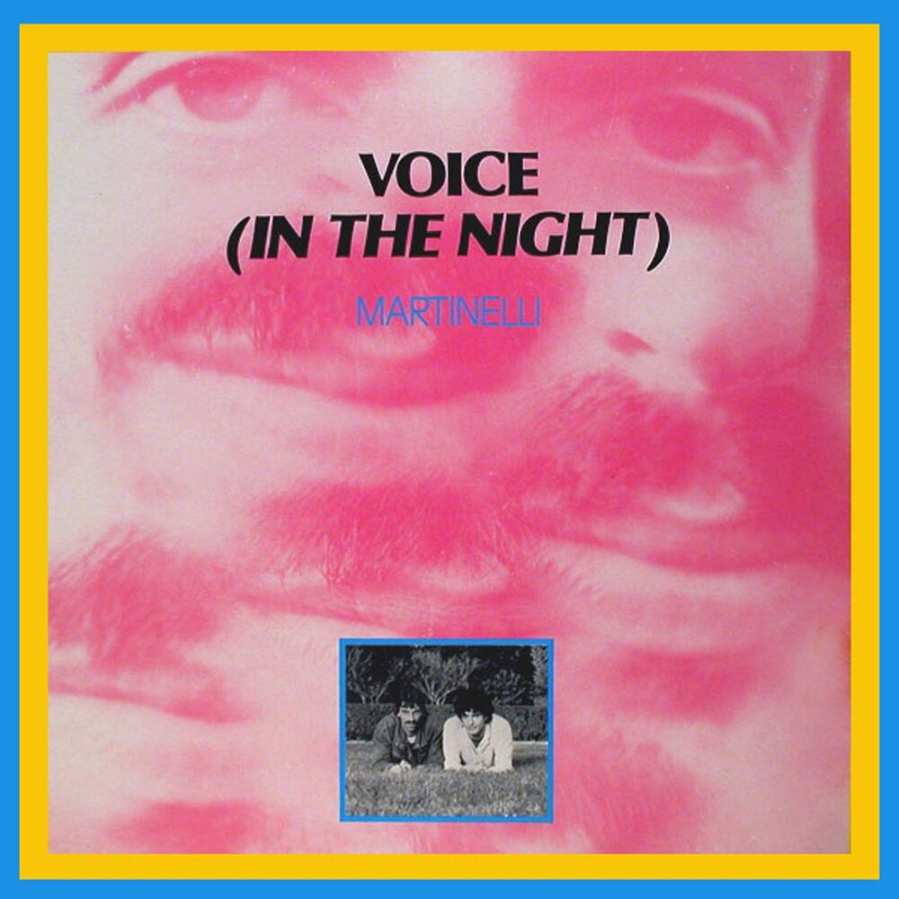 Picture of Voice (In the Night)