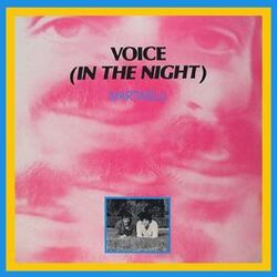 Cover of Voice (In the Night)