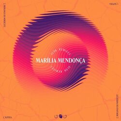 Cover of Alok Remixes
