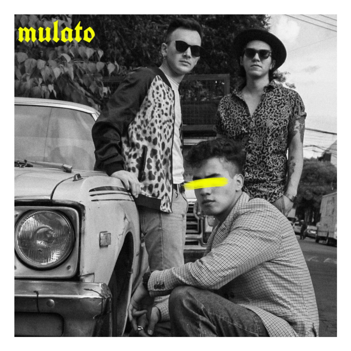 Album cover of Mulato