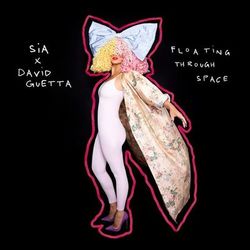 Cover of Floating Through Space
