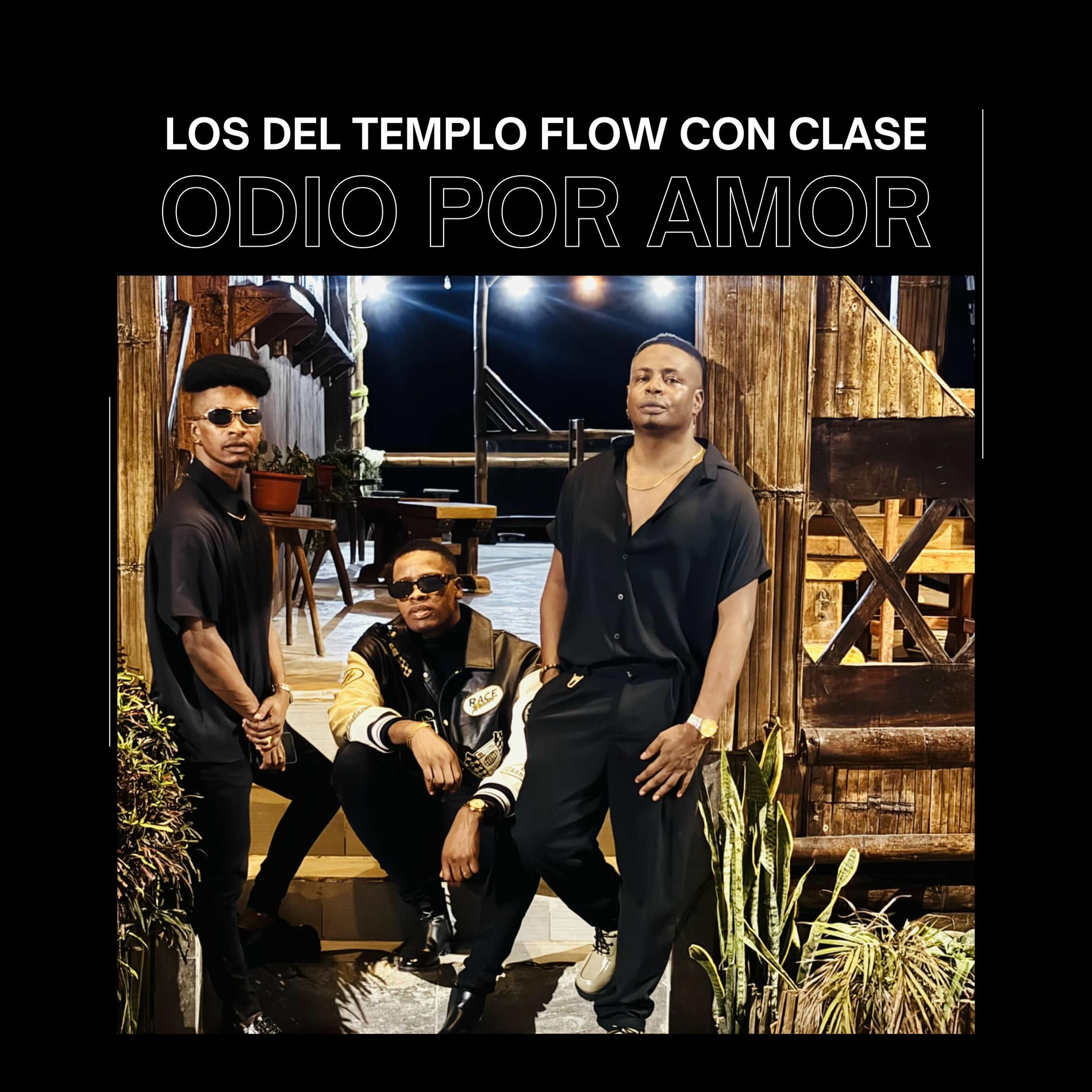 Album cover of Odio por Amor