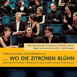 Cover of ...wo die Zitronen blühn
