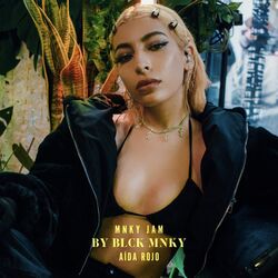 Cover of The Mnky Jam, Vol. 2