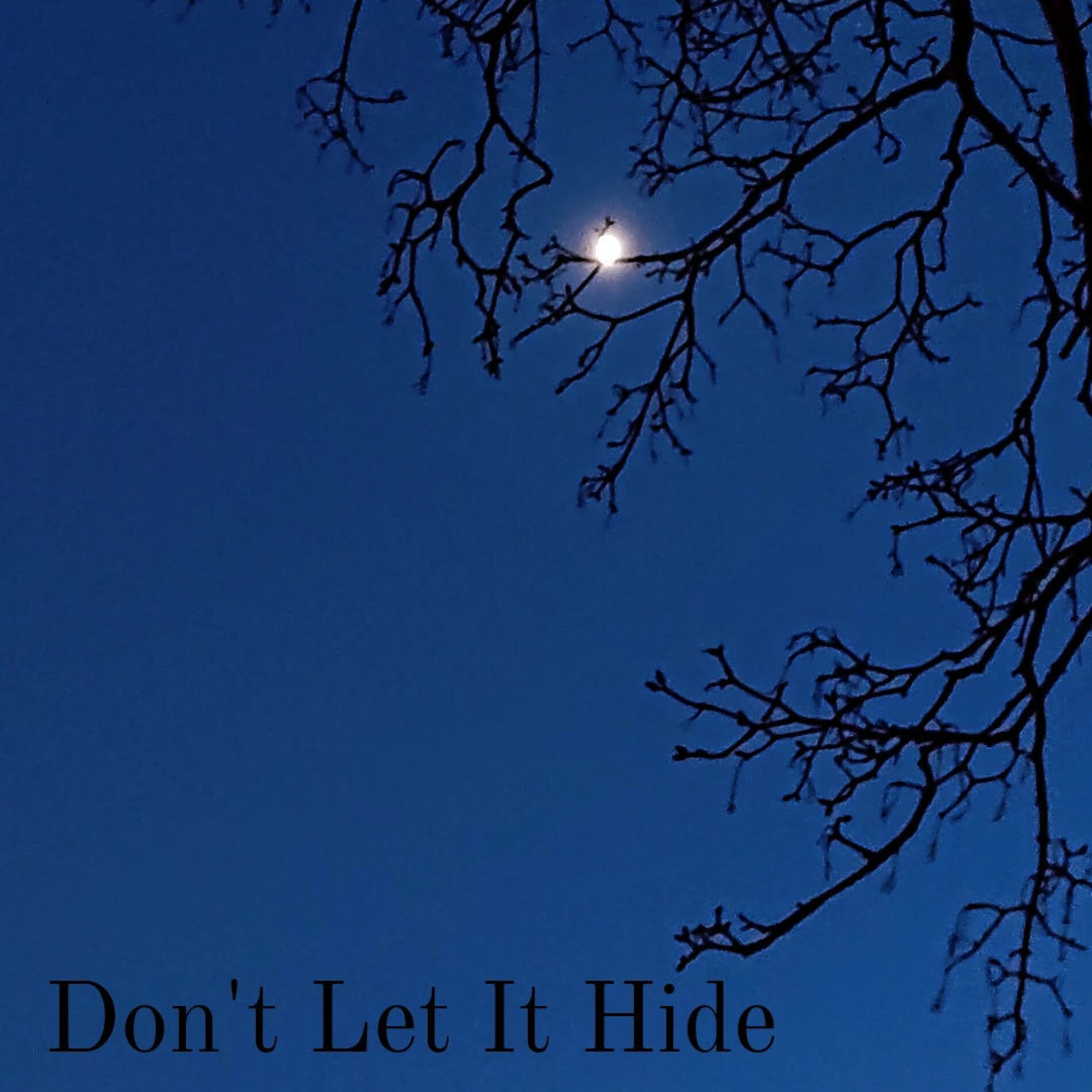 Album cover of Don't Let It Hide