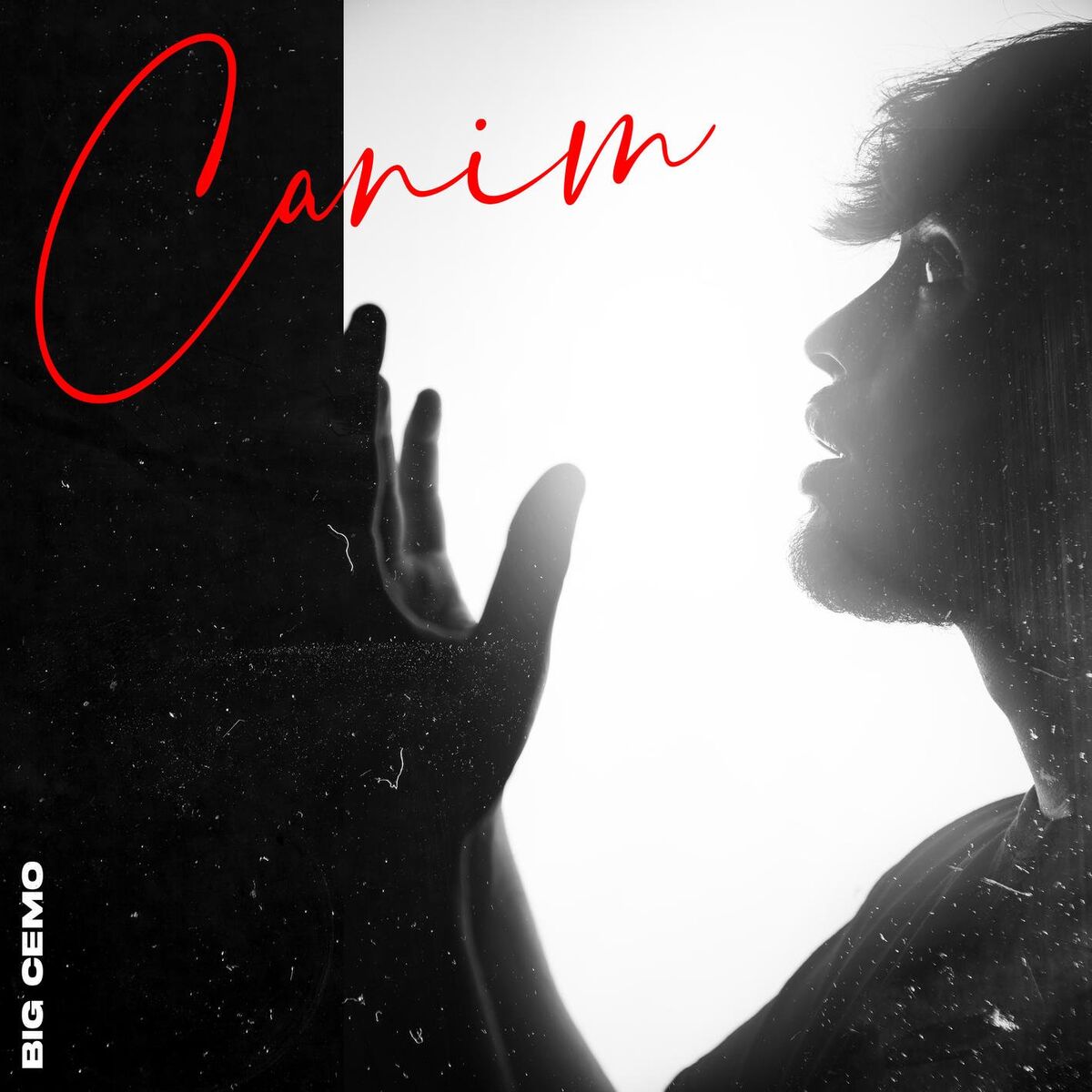 Album cover of CANIM