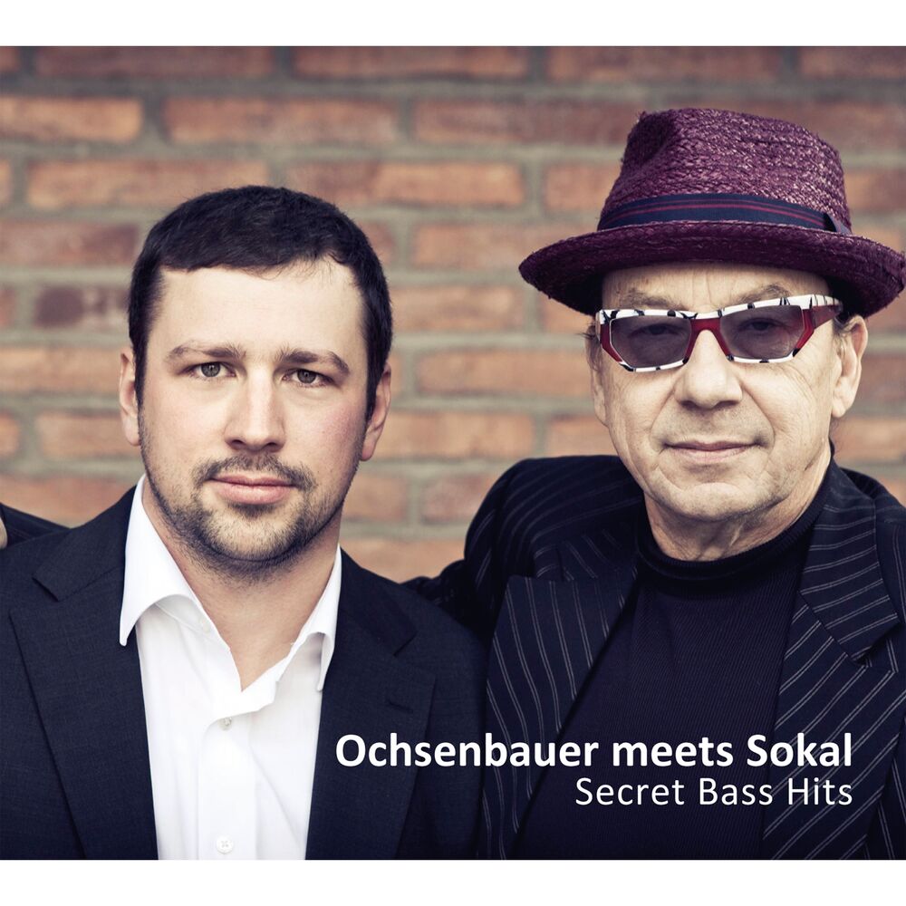 Picture of Secret Bass Hits