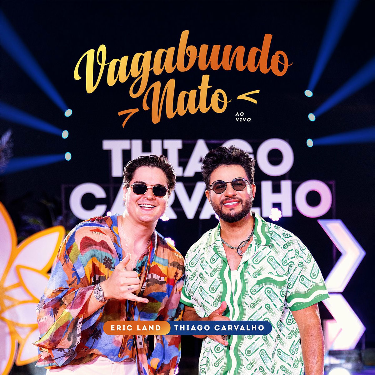 Album cover of Vagabundo Nato