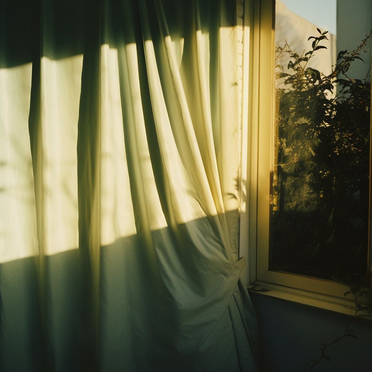 Album cover of Gentle Awakening