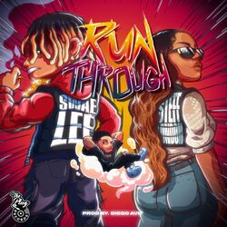 Cover of Run Through