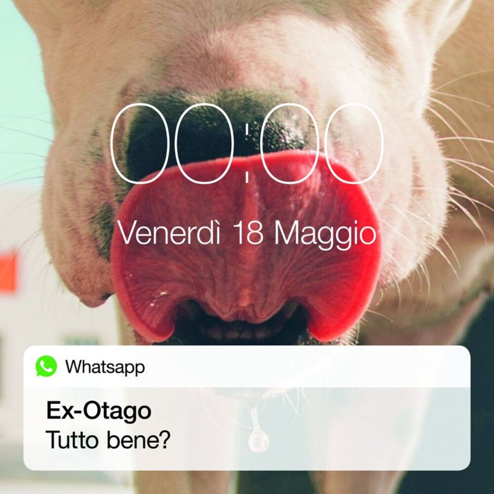 Picture of Tutto Bene