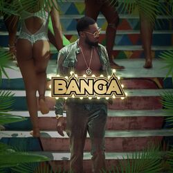 Cover of Banga