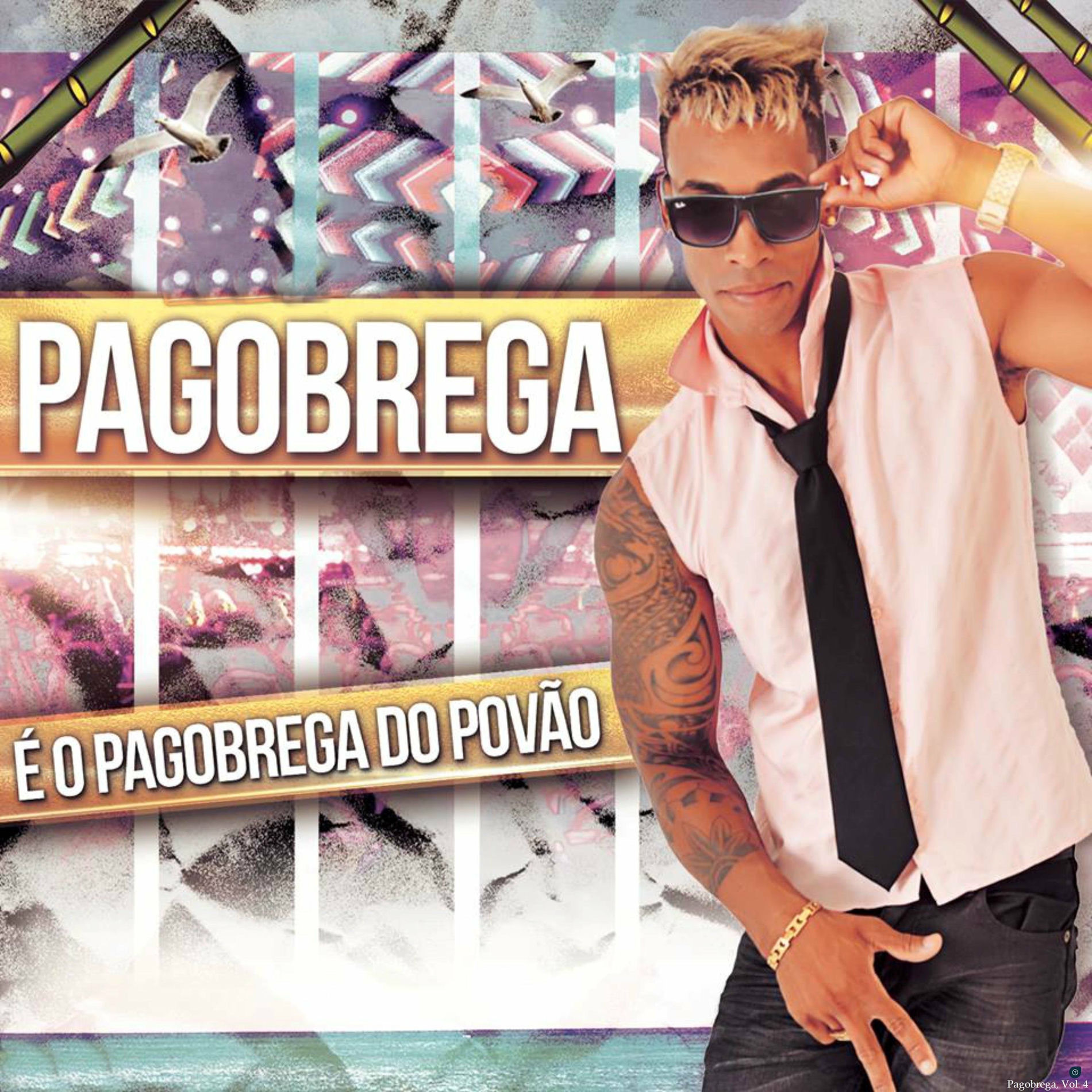 Album cover of Pagobrega, Vol. 4 (Ao Vivo)