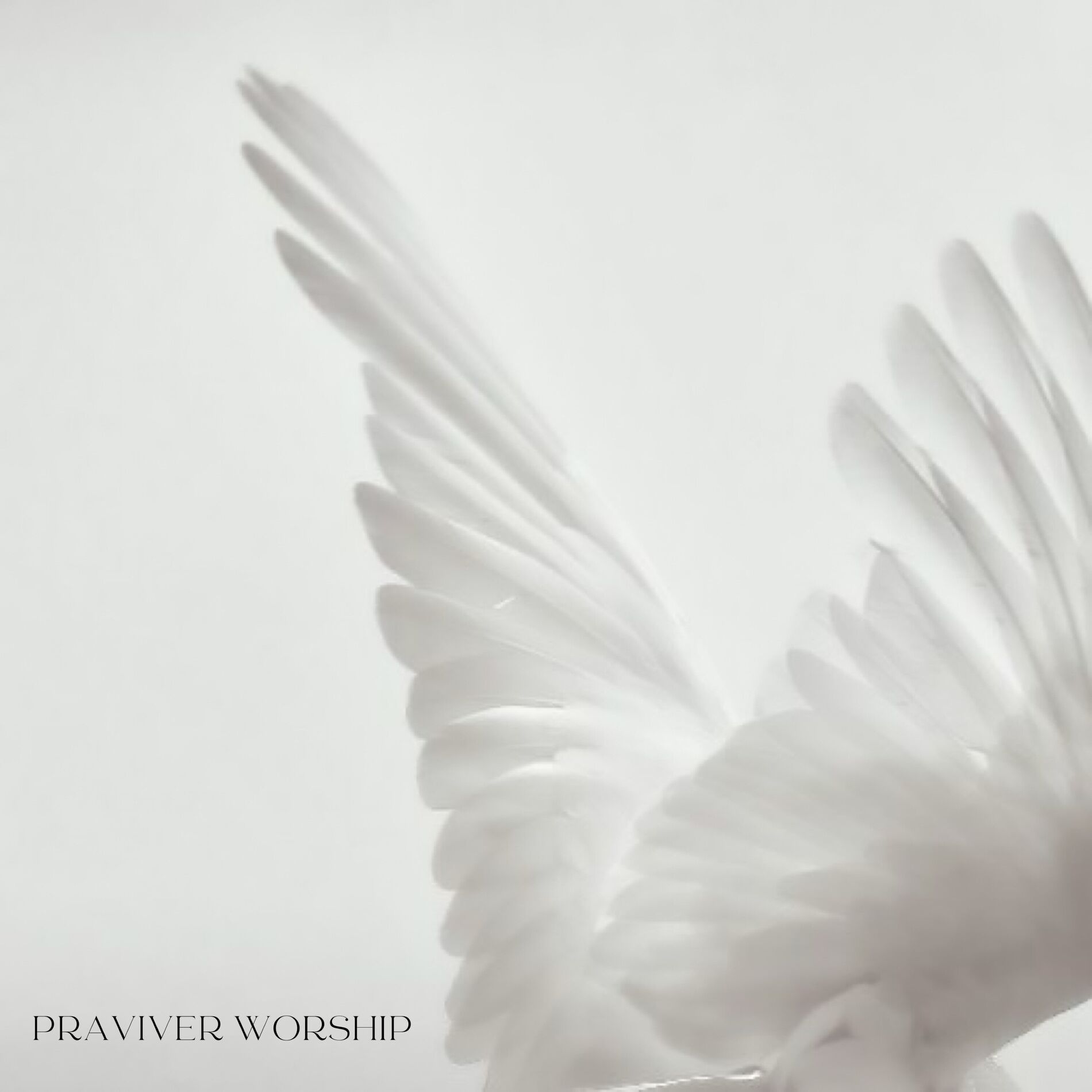 Album cover of Espírito