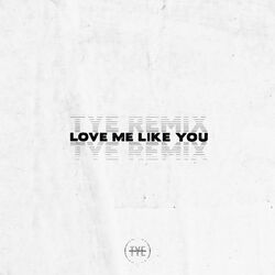 Cover of Love Me Like You (TYE Remix)