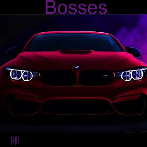Bosses