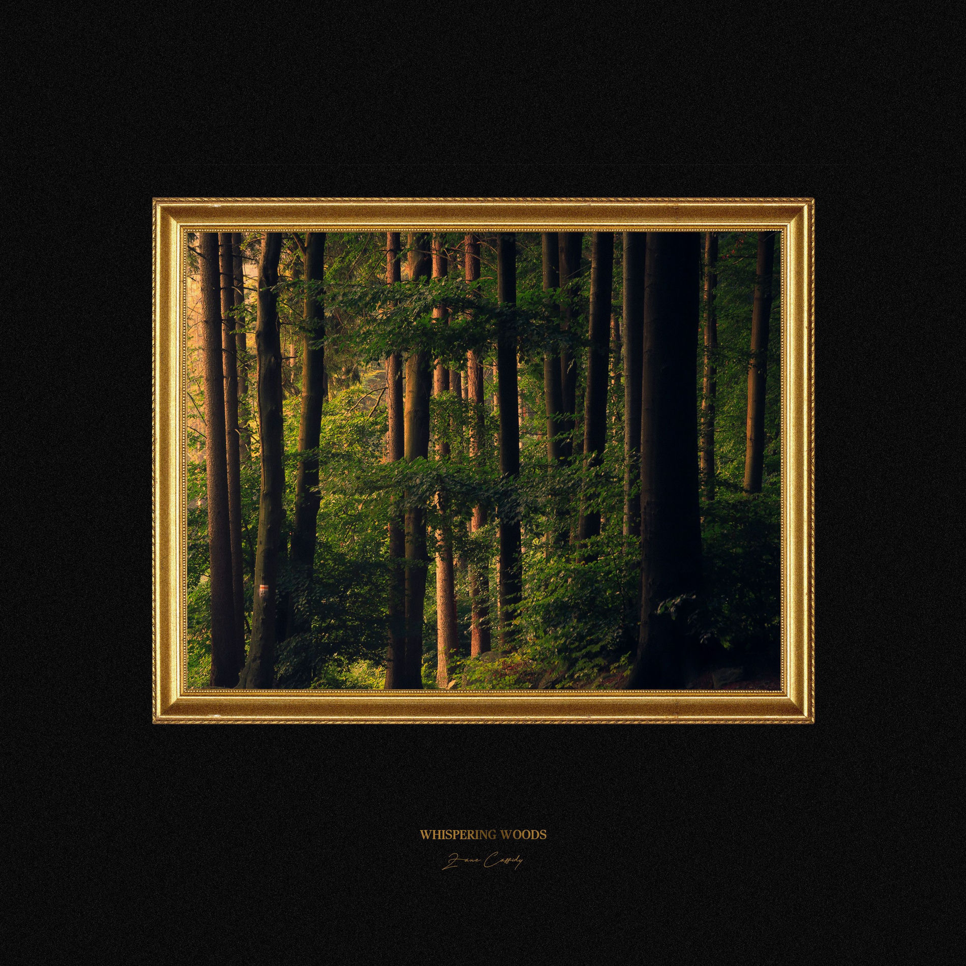 Album cover of Whispering Woods
