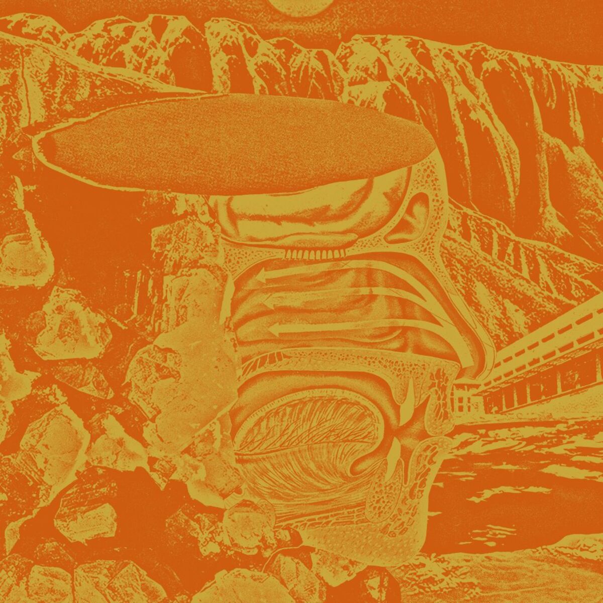 Album cover of Sunswell